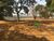 Terreno, 23 hectares - Foto 2