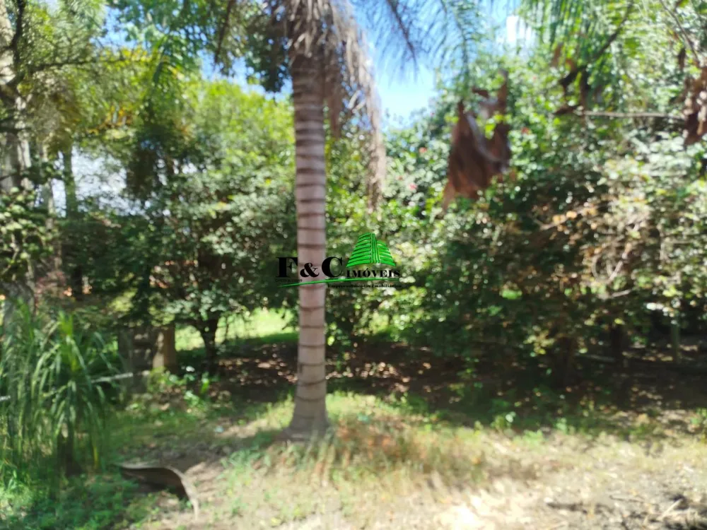 Chácara, 4 quartos, 1 hectares - Foto 7