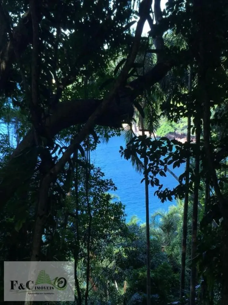 Terreno, 3 hectares - Foto 6