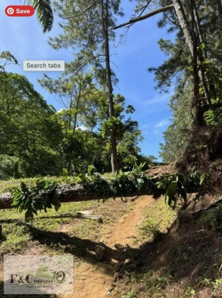 Terreno, 3 hectares - Foto 7