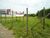 Loteamento e Condomínio, 700 m² - Foto 2