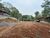 Terreno, 1250 m² - Foto 2