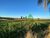 Terreno, 10000 m² - Foto 2