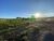 Terreno, 10000 m² - Foto 1