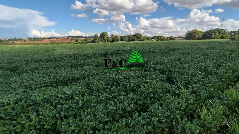 Terreno, 5 hectares - Foto 4