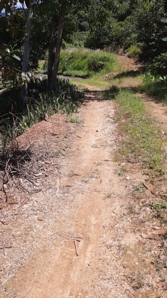 Chácara, 3 quartos, 4 hectares - Foto 3