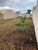 Terreno, 250 m² - Foto 2