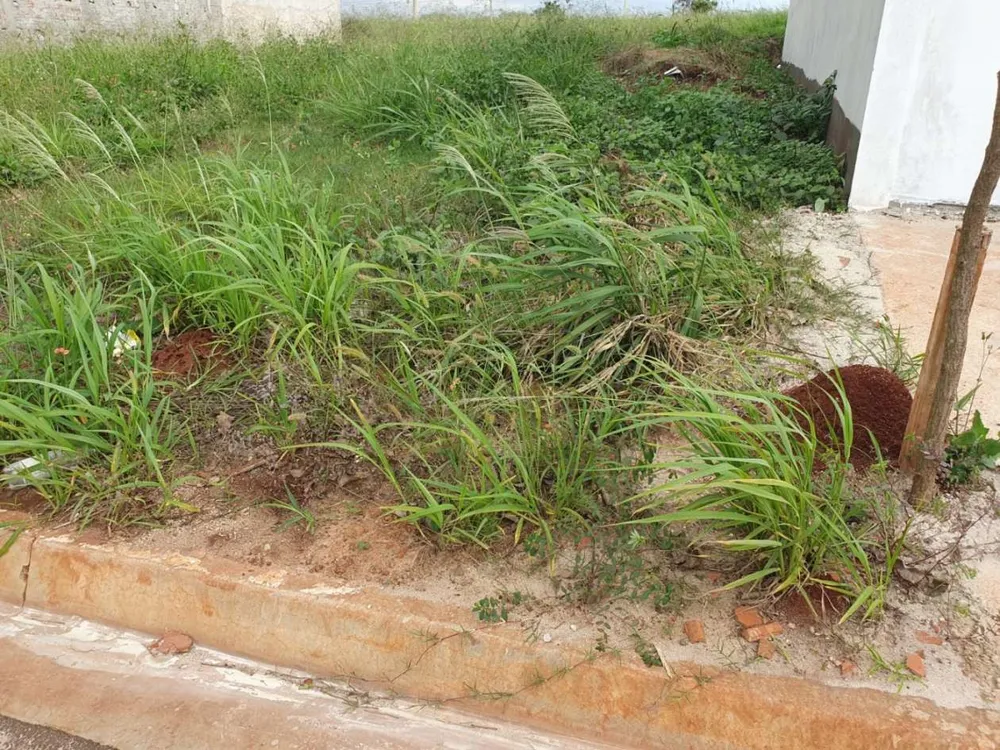Terreno, 200 m² - Foto 2