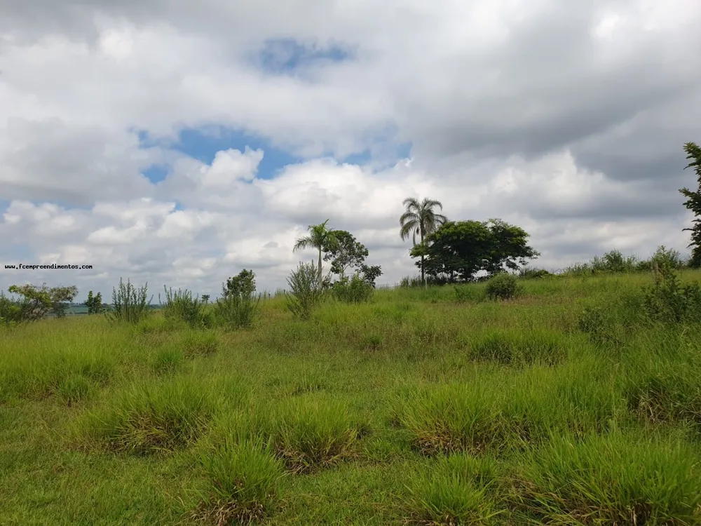 Terreno, 2 hectares - Foto 7