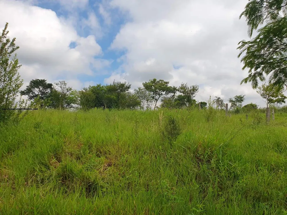 Terreno, 2 hectares - Foto 3