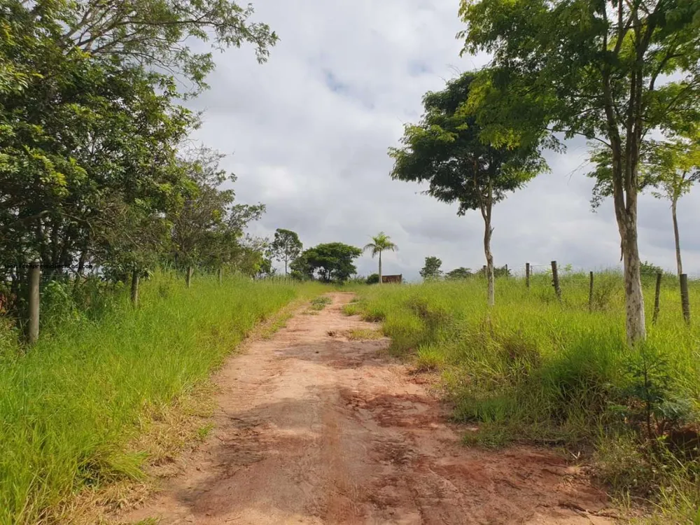 Terreno, 2 hectares - Foto 4