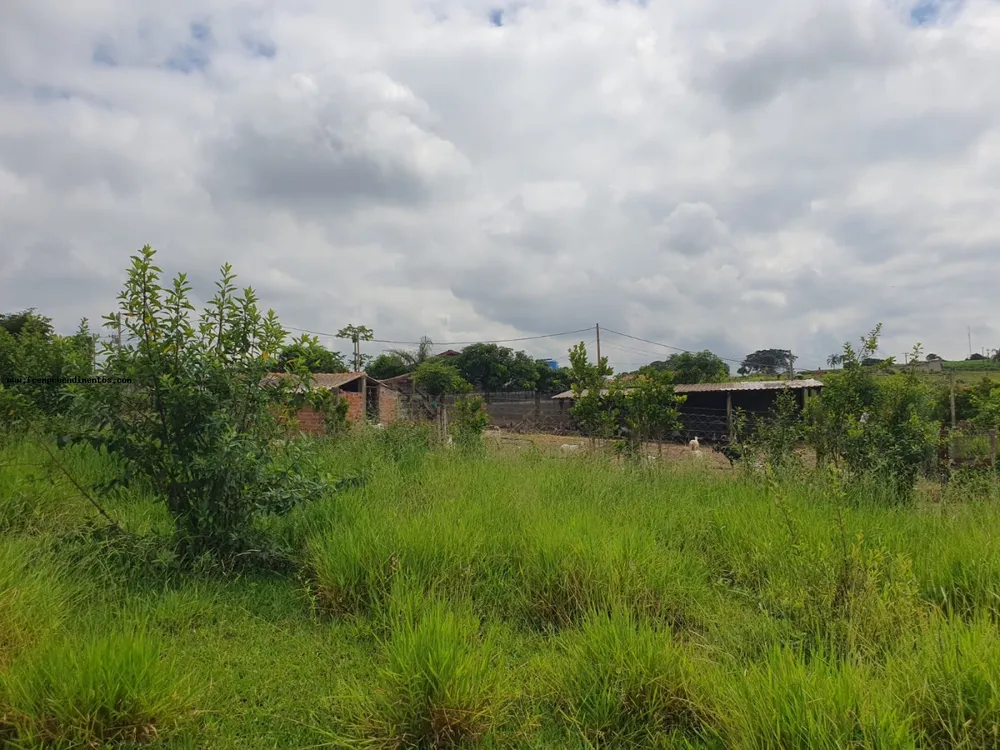 Terreno, 2 hectares - Foto 6