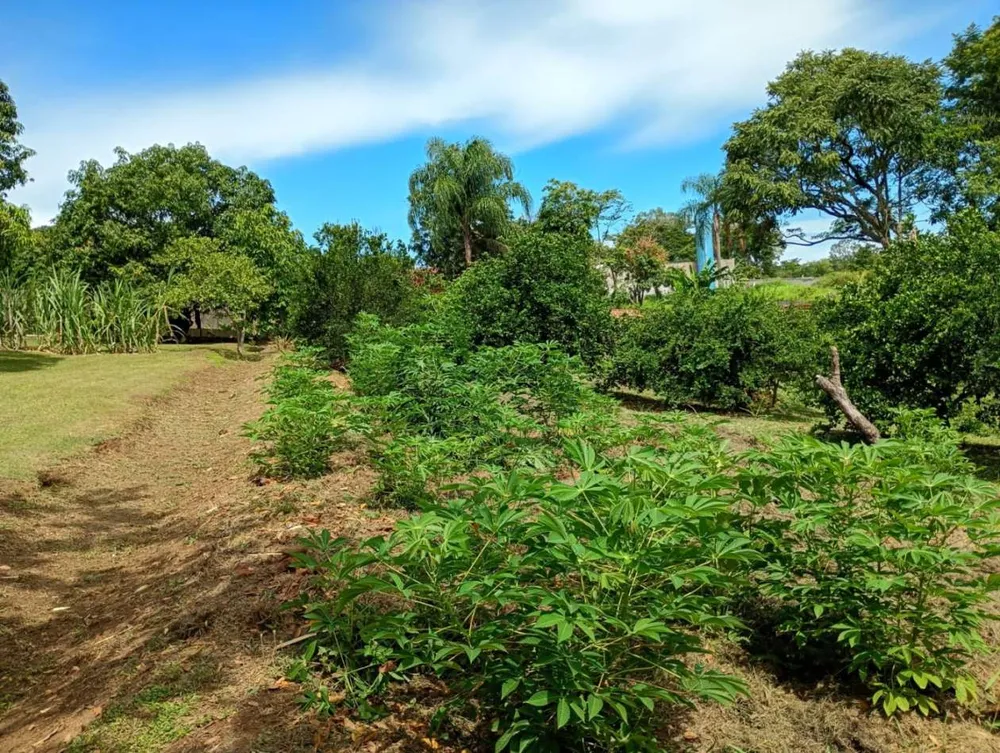 Chácara, 1 hectares - Foto 3