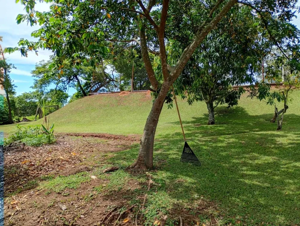 Chácara, 1 hectares - Foto 2