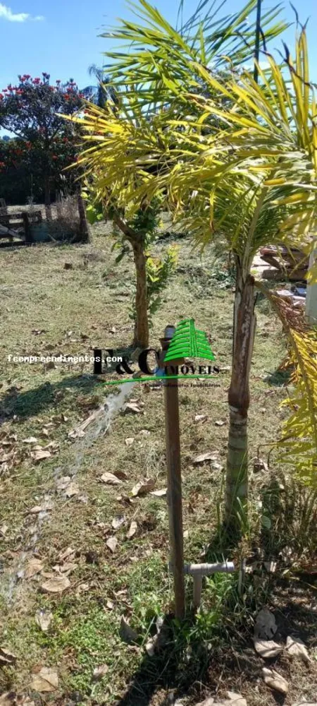 Terreno, 1000 m² - Foto 4