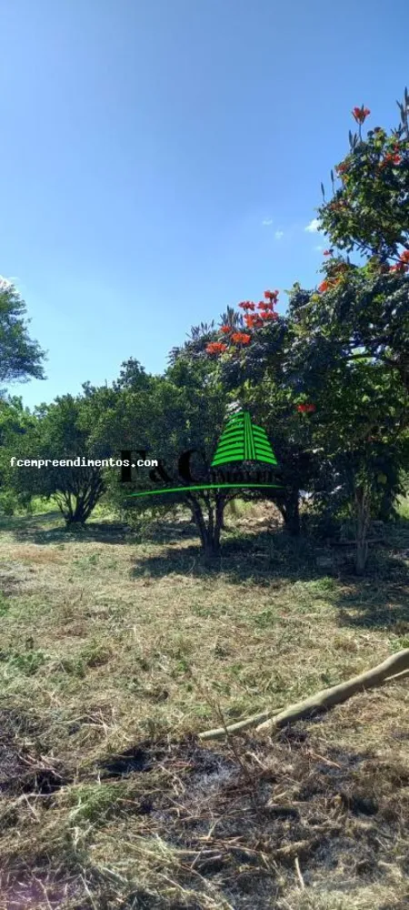 Terreno, 1000 m² - Foto 5