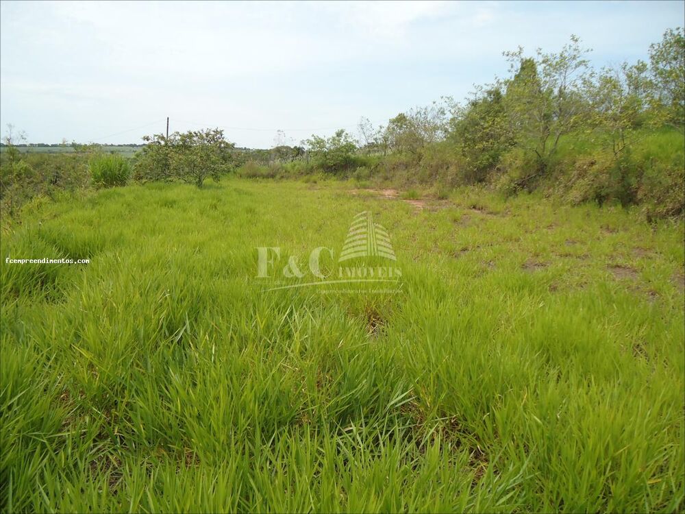 Chácara à venda, 3500m² - Foto 3