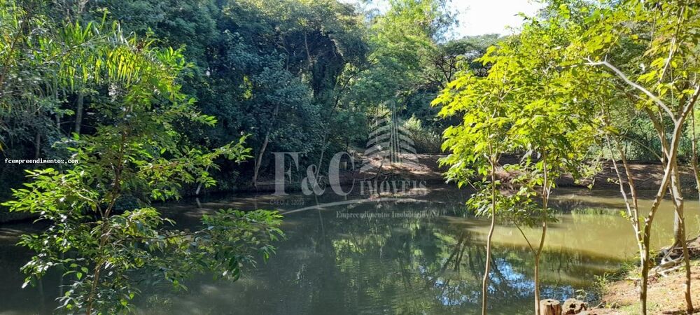 Chácara, 3 quartos, 2 hectares - Foto 18