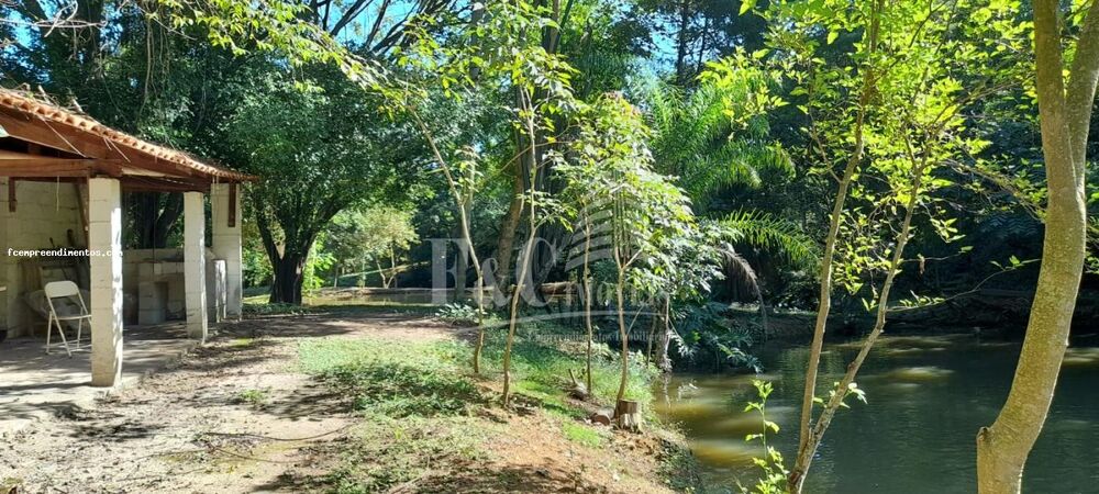 Chácara, 3 quartos, 2 hectares - Foto 7