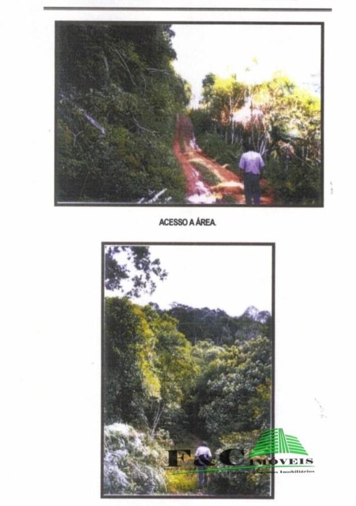 Fazenda, 85 hectares - Foto 1