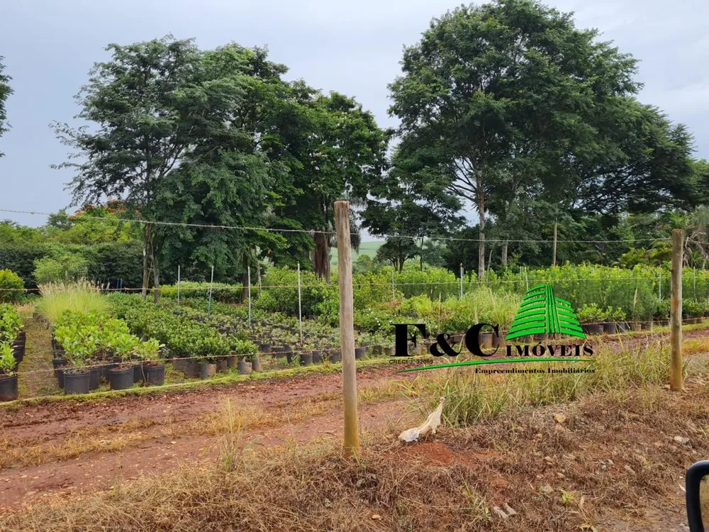 Terreno, 4 hectares - Foto 7