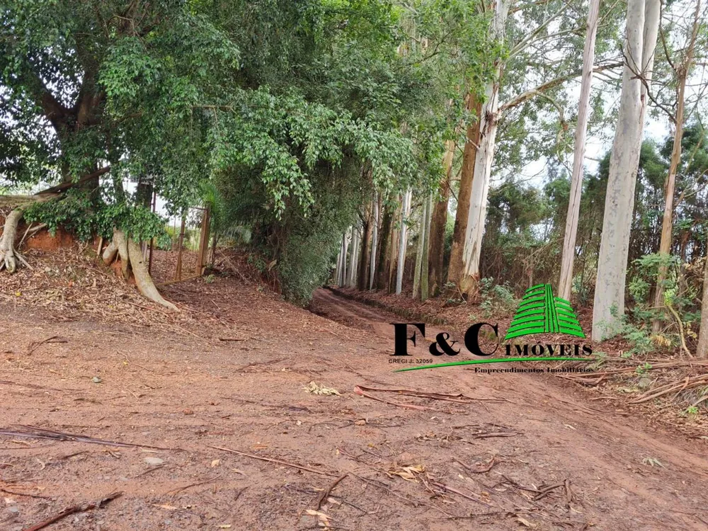 Terreno, 4 hectares - Foto 3