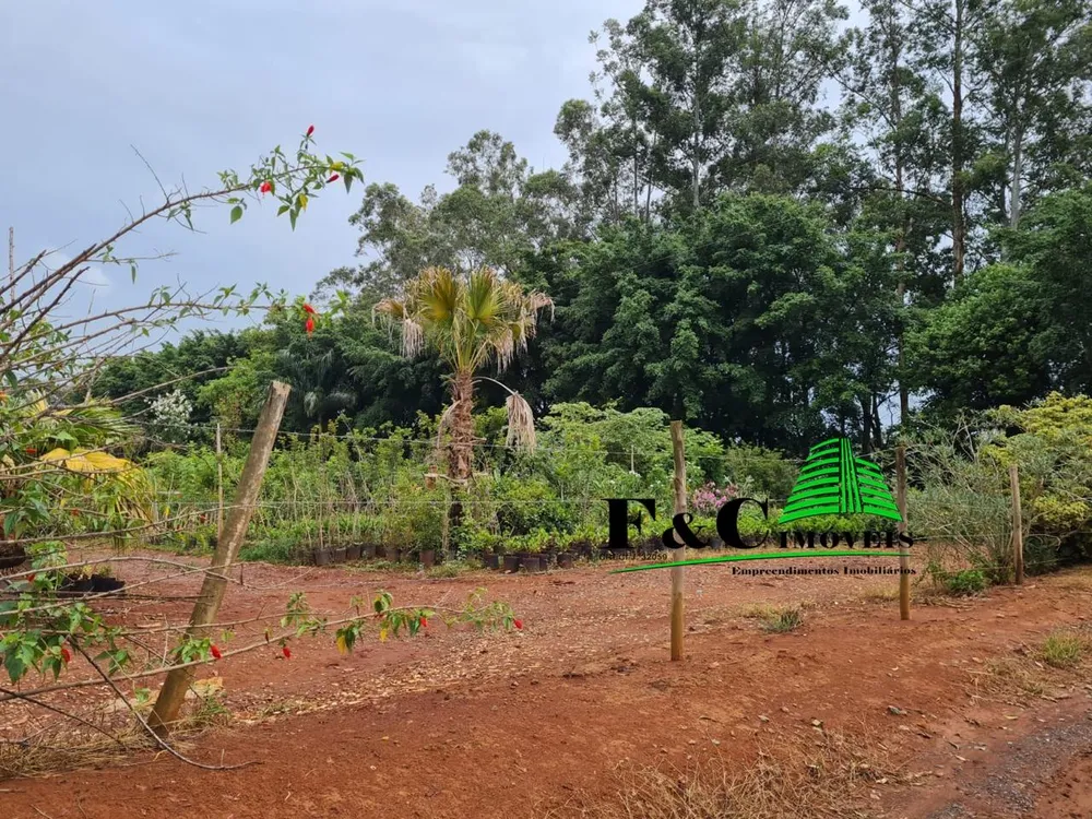 Terreno, 4 hectares - Foto 7