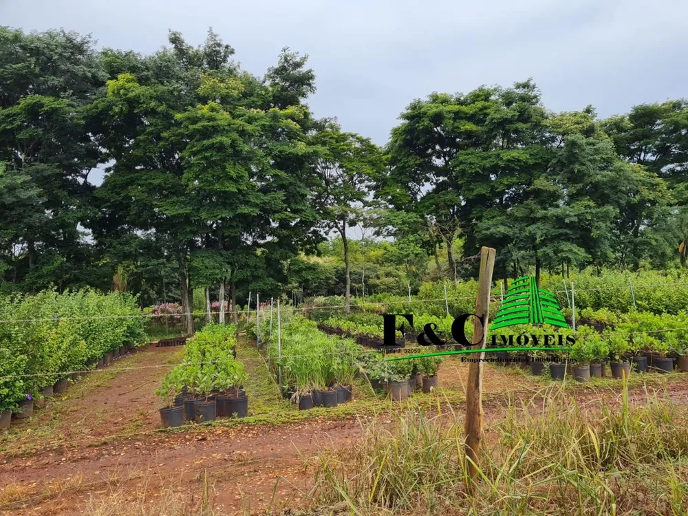 Terreno, 4 hectares - Foto 8