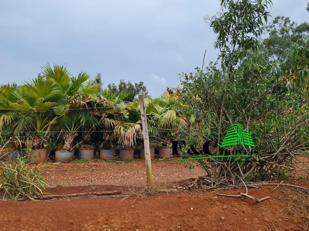 Terreno, 4 hectares - Foto 4
