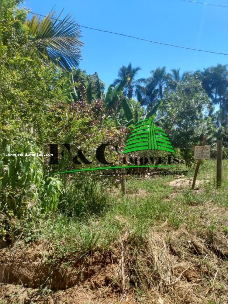 Casa, 5 quartos - Foto 8