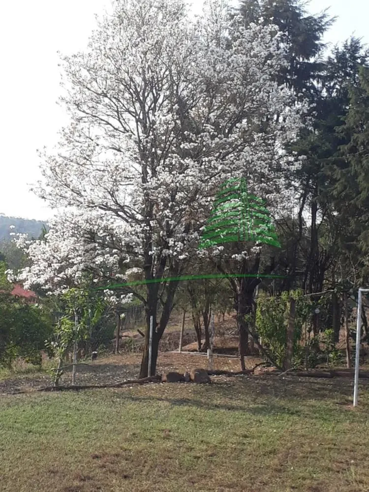 Chácara, 2 quartos, 5000 m² - Foto 8