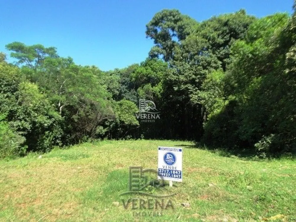 Terreno, 250 m² - Foto 1