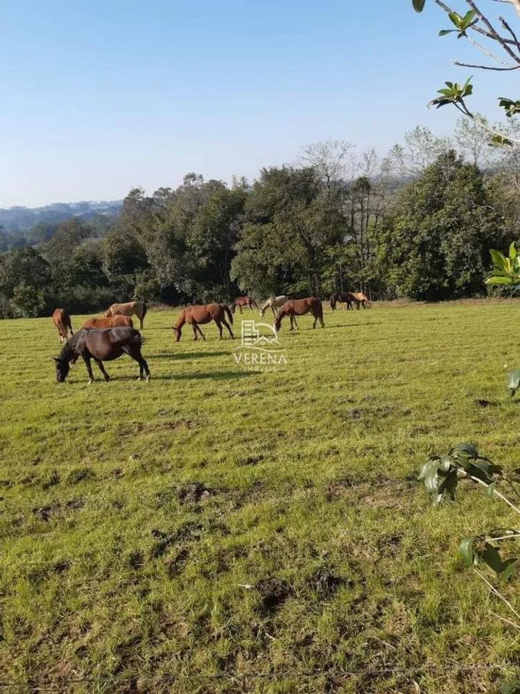 Sítio, 3 quartos, 154000 hectares - Foto 3