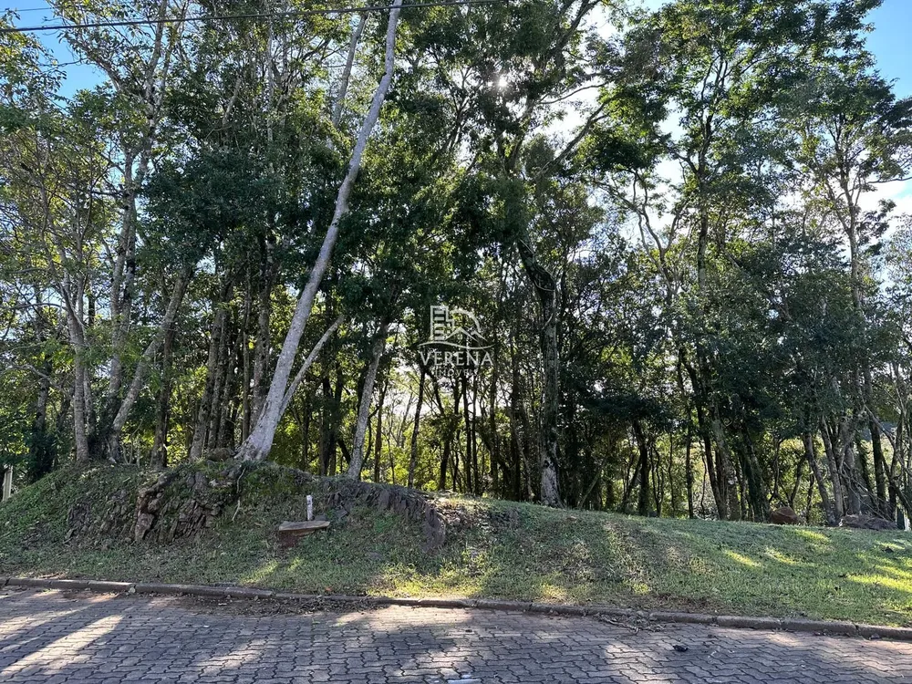 Terreno, 1465 m² - Foto 2