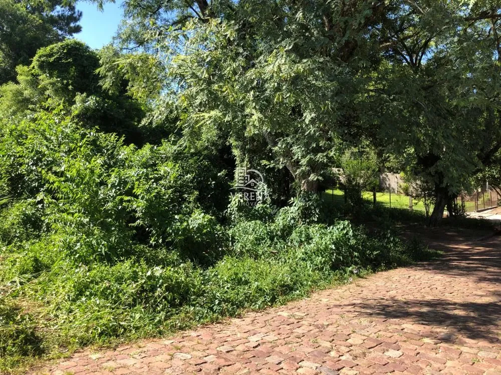 Terreno, 3140 m² - Foto 3