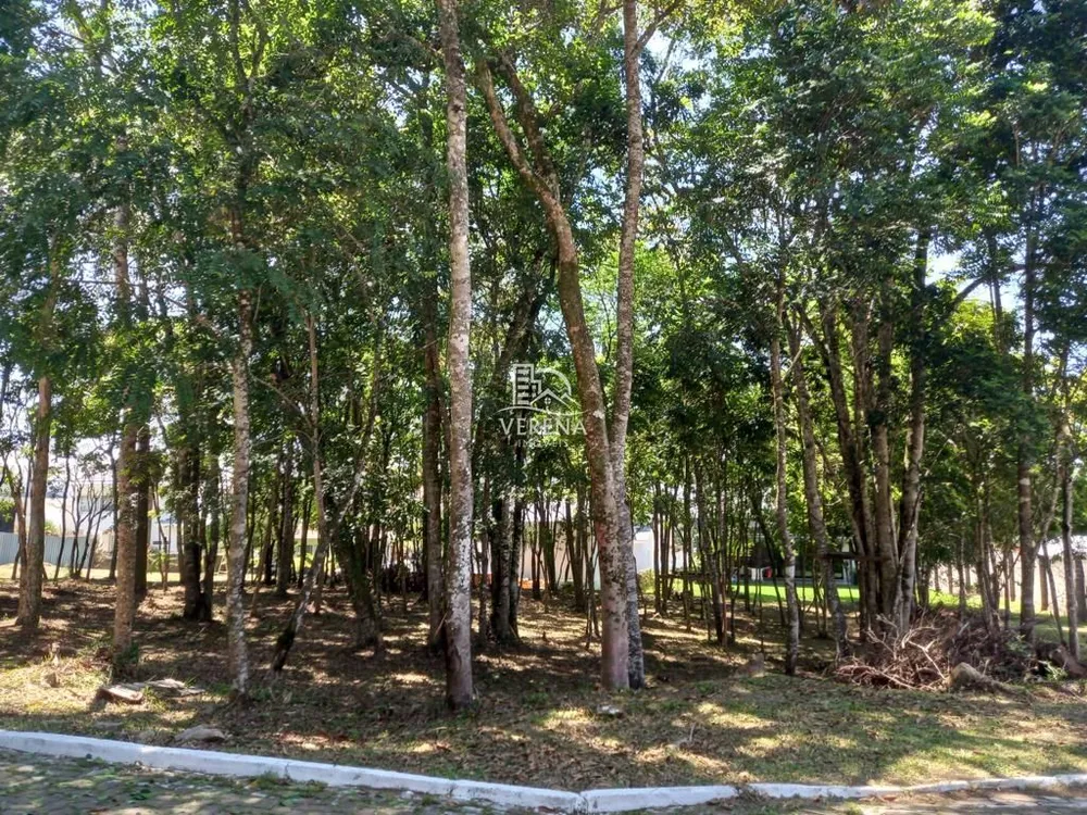 Terreno, 657 m² - Foto 2