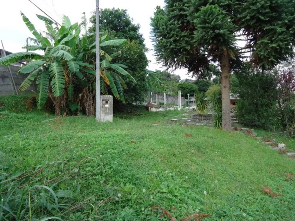 Terreno, 542 m² - Foto 4