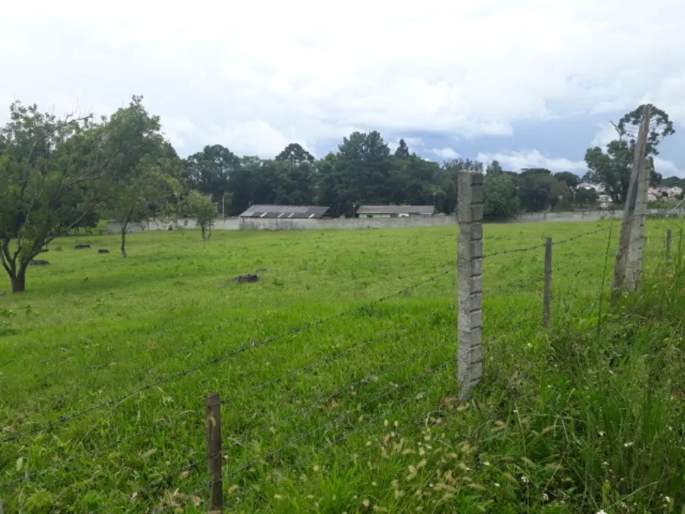Terreno, 28887 m² - Foto 4