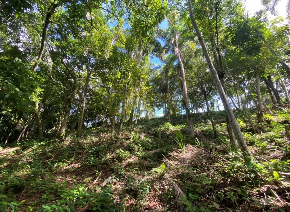 Terreno, 894 m² - Foto 10