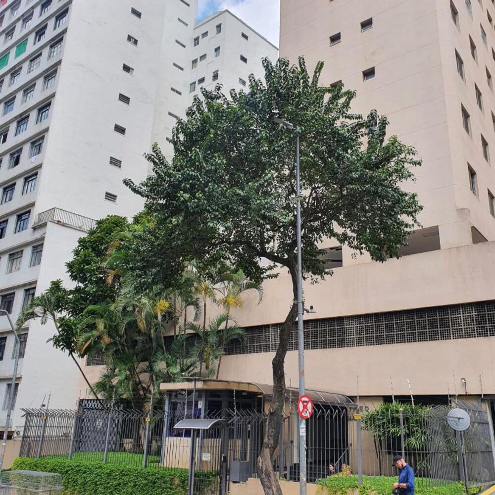 Apartamento, 2 quartos, 46 m² - Foto 4
