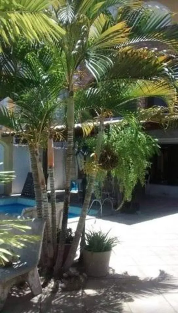 Casa, 5 quartos, 350 m² - Foto 7