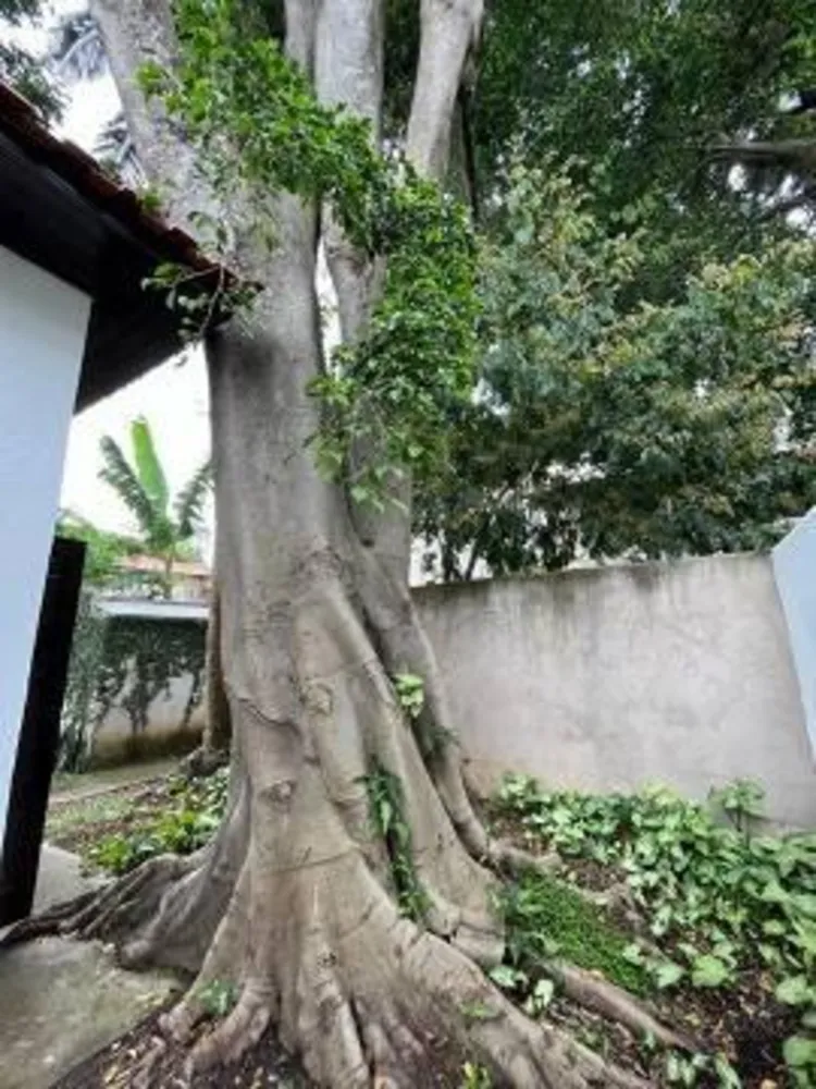 Casa, 2 quartos, 301 m² - Foto 5