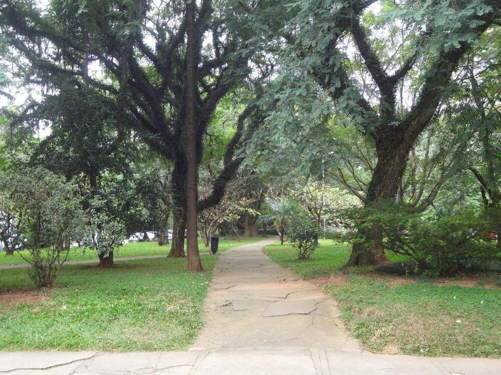 Apartamento, 3 quartos, 306 m² - Foto 8