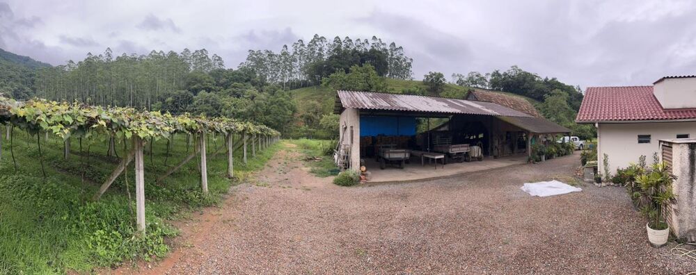 Sítio, 4 quartos, 6 hectares - Foto 4