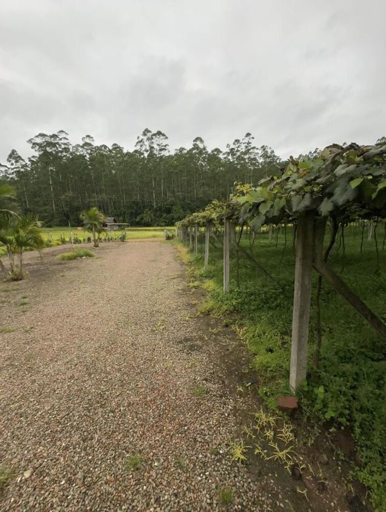 Sítio, 4 quartos, 6 hectares - Foto 2