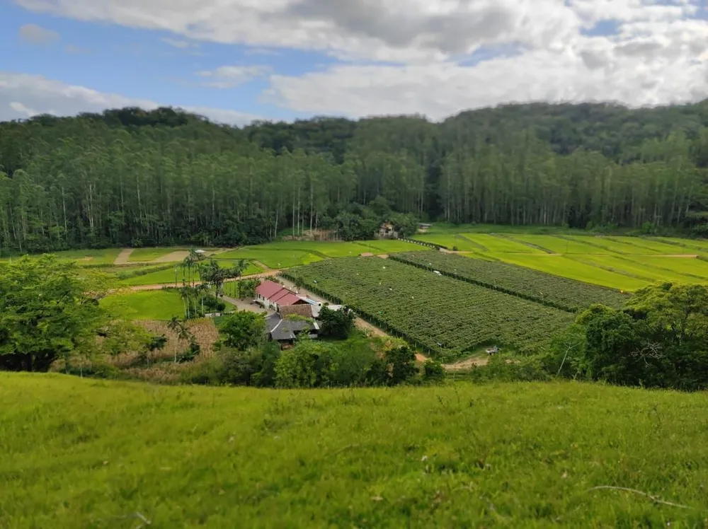 Sítio, 4 quartos, 6 hectares - Foto 1