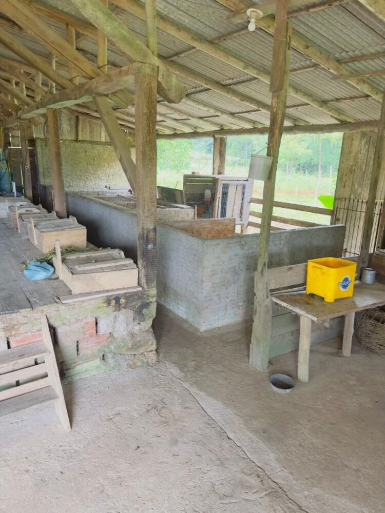 Sítio, 4 quartos, 6 hectares - Foto 11
