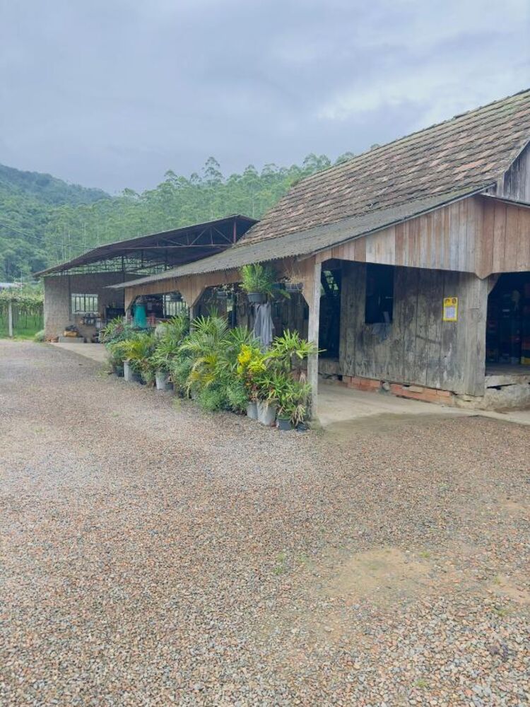 Sítio, 4 quartos, 6 hectares - Foto 10