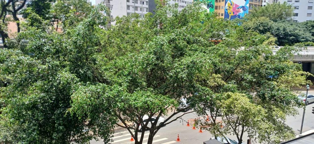 Apartamento, 1 quarto, 60 m² - Foto 2