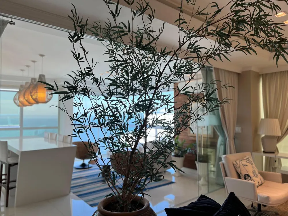 Casa, 5 quartos, 300 m² - Foto 3